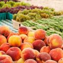  Crisis por COVID detona la proliferación de fruterías y tienditas