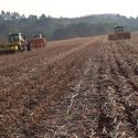  Se atrasan siembras por falta de agua en el norte