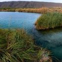  Informa Gobierno de México recuperación ambiental de más de 40 hectáreas de humedales en Cuatro Ciénegas
