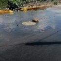  Comerciantes de la calle Obregón piden intervención de COMAPA por fuga de aguas negras.