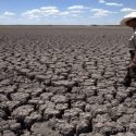  Viven ganaderos la peor sequía de los últimos 30 años