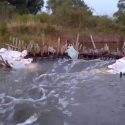  Se derrumba barrera de contención, ingresa agua salada al sistema lagunario en Tampico