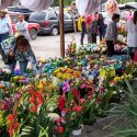  Piden regular precio de las flores; por su exagerado costo habrá poca venta este 10 de mayo.