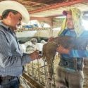  Crece en México el número de productores en esquemas de inocuidad de los alimentos   