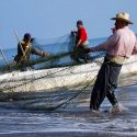  Se manifiestan pescadores, llevan dos años sin recibir apoyo de gobierno federal