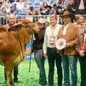 Distinguen al Gobierno de Tamaulipas con invitación a exposición internacional de ganado en Houston