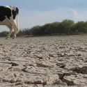  Capacita Agricultura a ejidatarios de Michoacán en el manejo sostenible del suelo