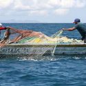  Pescadores siguen sin captura