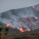  Incendio en San Carlos consume 15 hectáreas