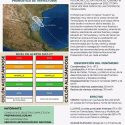  Información actualizada: Potencial Ciclón “CUATRO”