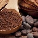  El Día Nacional del Cacao y el Chocolate, oportunidad para revalorar esta riqueza prehispánica