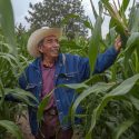  Detona Agricultura productividad agrícola de la Cuenca del Lago de Texcoco