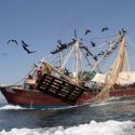  Arrancan barcos camaroneros capturas en el Pacífico y Golfo de California