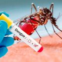  Detectan mosco transmisor del dengue