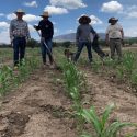  Avanza transición agroecológica, vía la Estrategia de Acompañamiento Técnico de Producción para el Bienestar