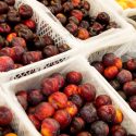  Abastecen productores mexicanos las frutas de temporada para preparar el tradicional ponche