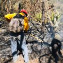  Protección Civil Tamaulipas, CONAFOR  y habitantes del sector unen esfuerzos para contención de incendio forestal en Miquihuana