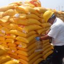  Publica Agricultura hoja de requisitos para importación segura de arroz de Paraguay