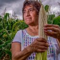  Contribuye trabajo de las mujeres en el campo a la seguridad alimentaria de México