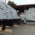  Registra Agricultura avance de 93 por ciento en entrega gratuita de fertilizante en Morelos