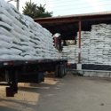  Comenzará Agricultura en siguientes días entrega gratuita de fertilizantes en Guerrero