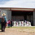  Comienza Agricultura suministro de fertilizante gratuito para sector agrícola en Querétaro
