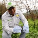  Convoca Agricultura a postular candidatos al Premio Nacional de Sanidad Vegetal 2023