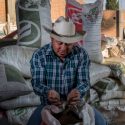  Productividad, sustentabilidad e inclusión, pilares de la transformación agrícola de México