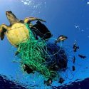  Detectan artes de pesca prohibidos en el Golfo de México