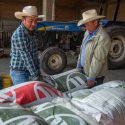  Inicia Agricultura entrega de fertilizante gratuito en Aguascalientes
