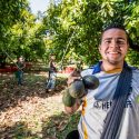  México, entre los tres principales productores mundiales de aguacate, guayaba, mango y chile verde