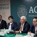  México, punta de lanza en políticas en favor de la cafeticultura sustentable