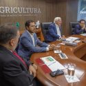  Pone en marcha Agricultura plan agronómico integral para proteger la producción nacional de cítricos