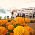  Promueve Agricultura protección y mejora de variedades de flor de cempasúchil