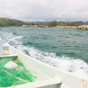  Establece Agricultura zona de refugio pesquero parcial permanente en Laguna de Términos, Campeche