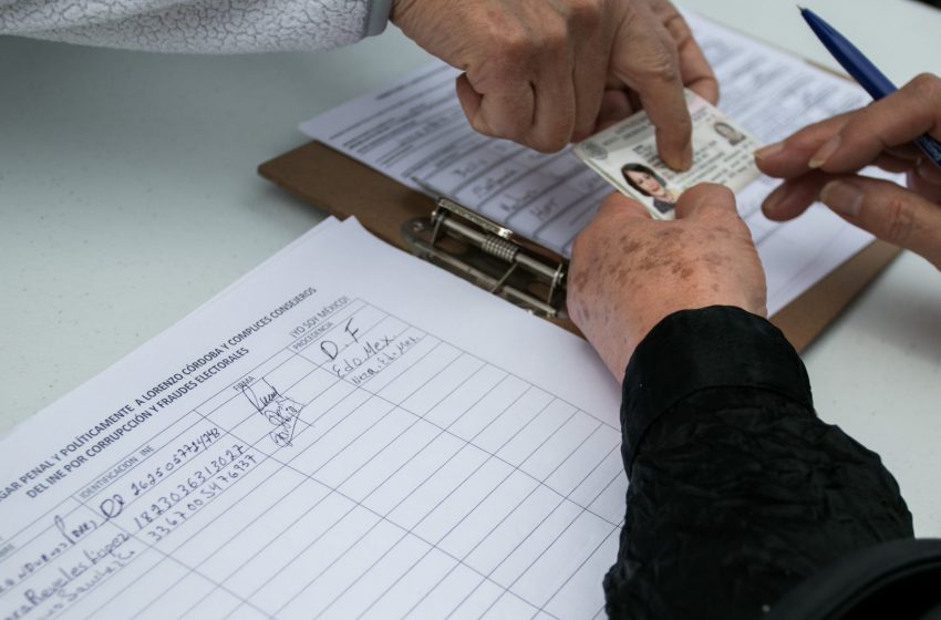  Busca apoyo aspirante independiente.