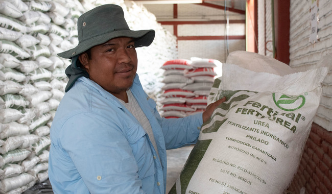  Inicia Agricultura entrega de fertilizante gratuito a más de 59 mil productores en Zacatecas