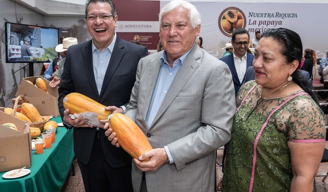  Reconocen valor productivo, económico e histórico-cultural de la papaya mexicana