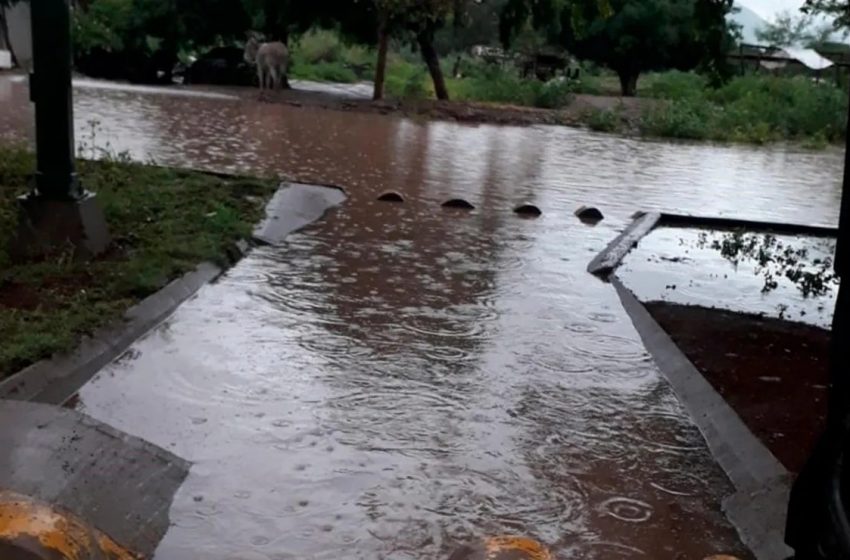  Aguas negras en primaria del ejido Mante