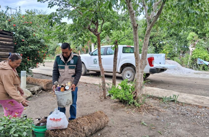  Exhortan a reforzar medidas contra el dengue