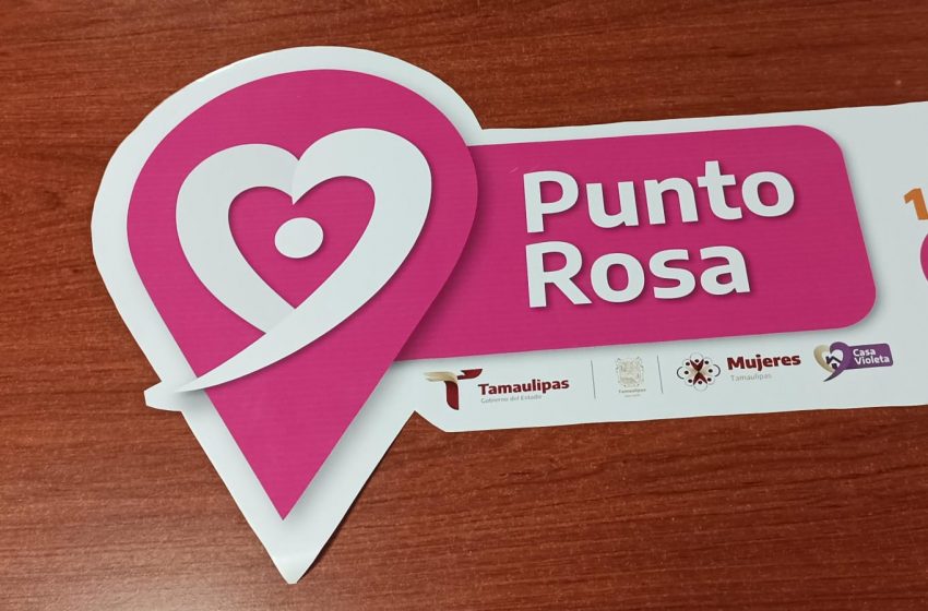  Busca transporte ser punto Rosa