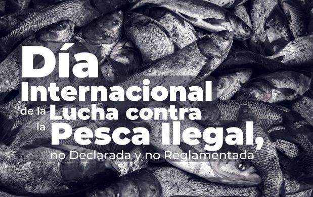  Día Internacional de la Lucha contra la Pesca Ilegal, no Declarada y no Reglamentada