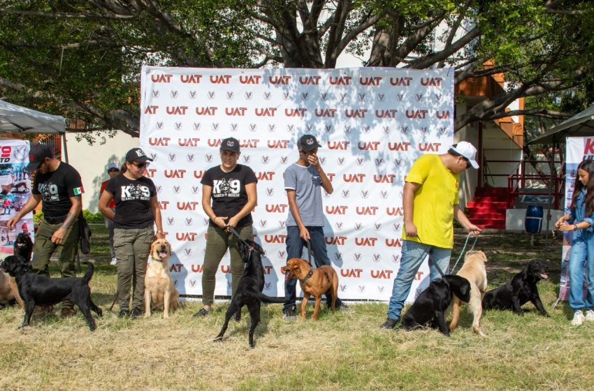  Pondrá la UAT en adopción héroes caninos