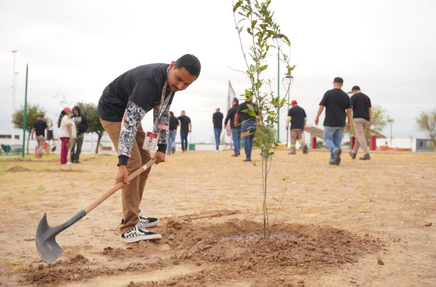  PLANTARÁN MÁS DE 3 MIL ÁRBOLES EN NUEVO LAREDO