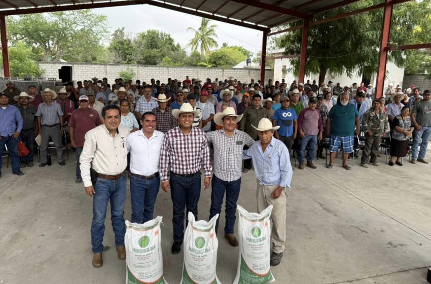  Productores citrícolas reciben fertilizante 