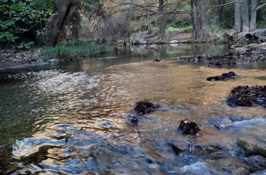  PROFEPA muestrea el agua de Los Troncones