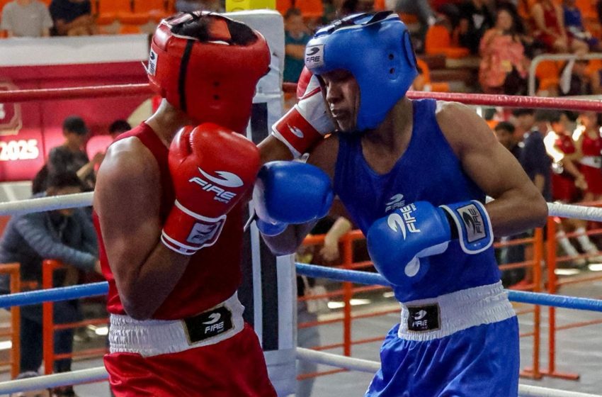  Campeones de boxeo listos para la etapa macrorregional