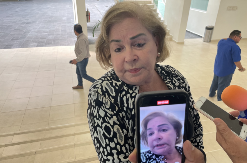  Mercedes del Carmen Guillén no se ha logrado activar como diputada