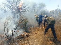  Voluntarios se suman a labores para sofocar incendios en El Abra