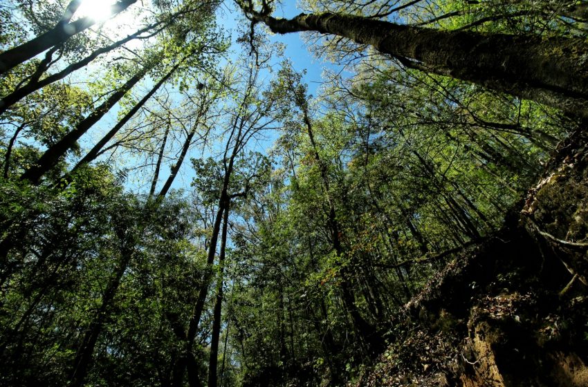  Compromiso por la biodiversidad en El Cielo